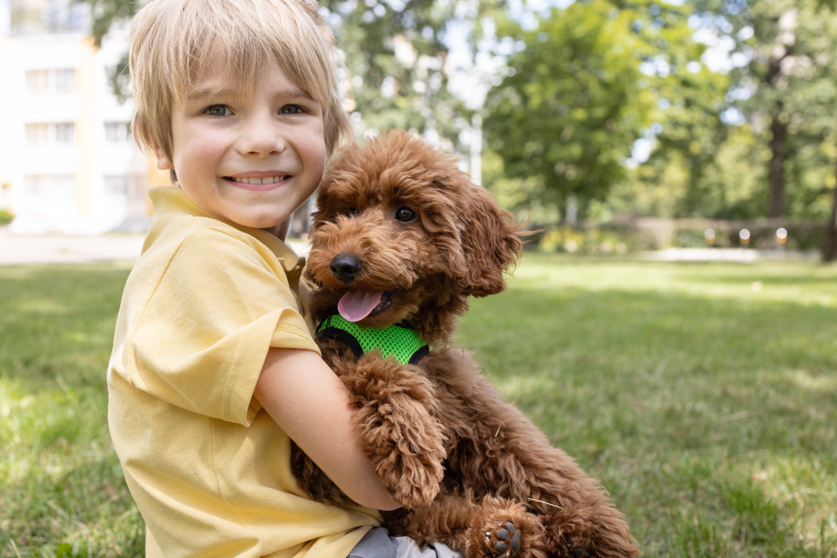 What Makes Oodles So Unique?