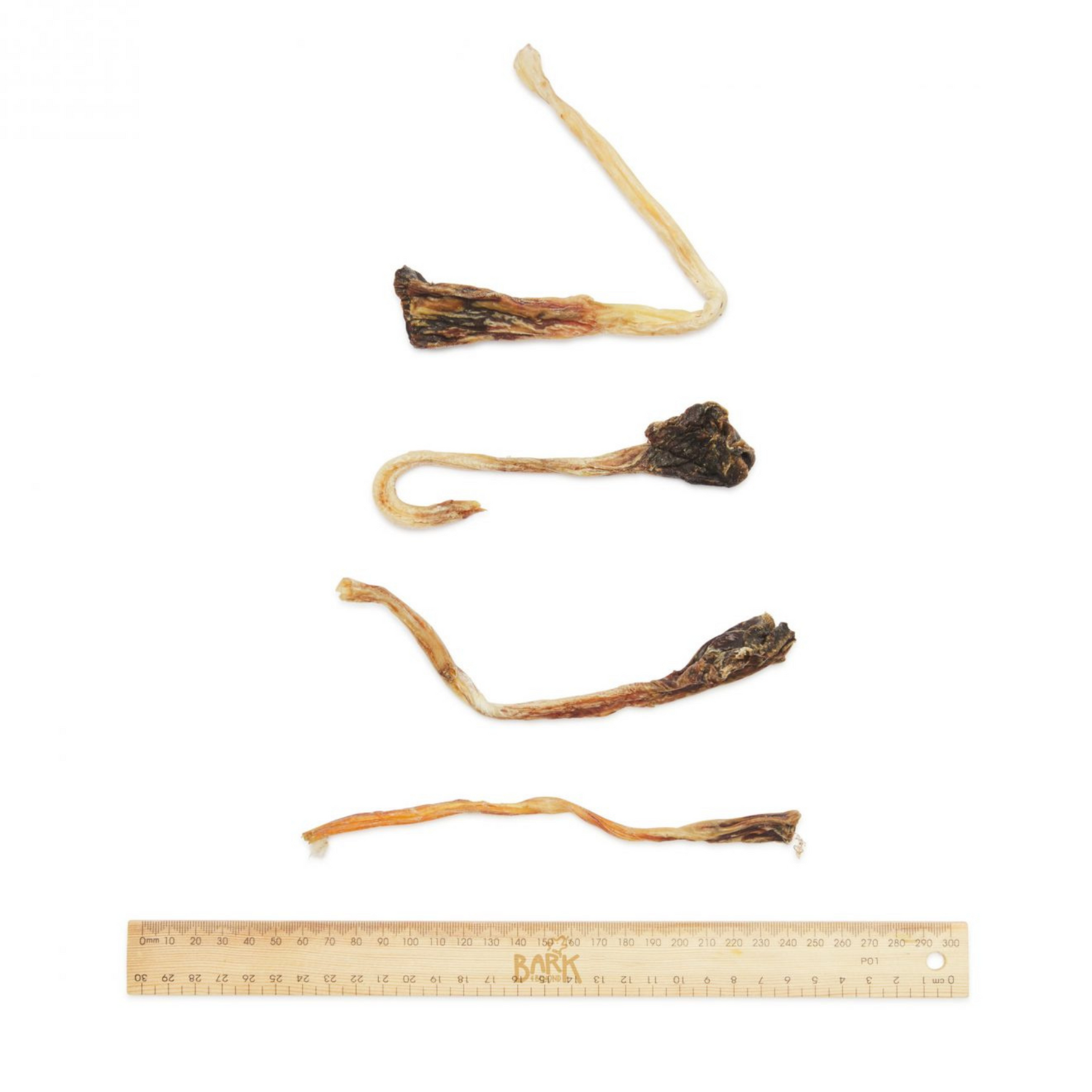 Four dried animal bones with a ruler for scale on a white background