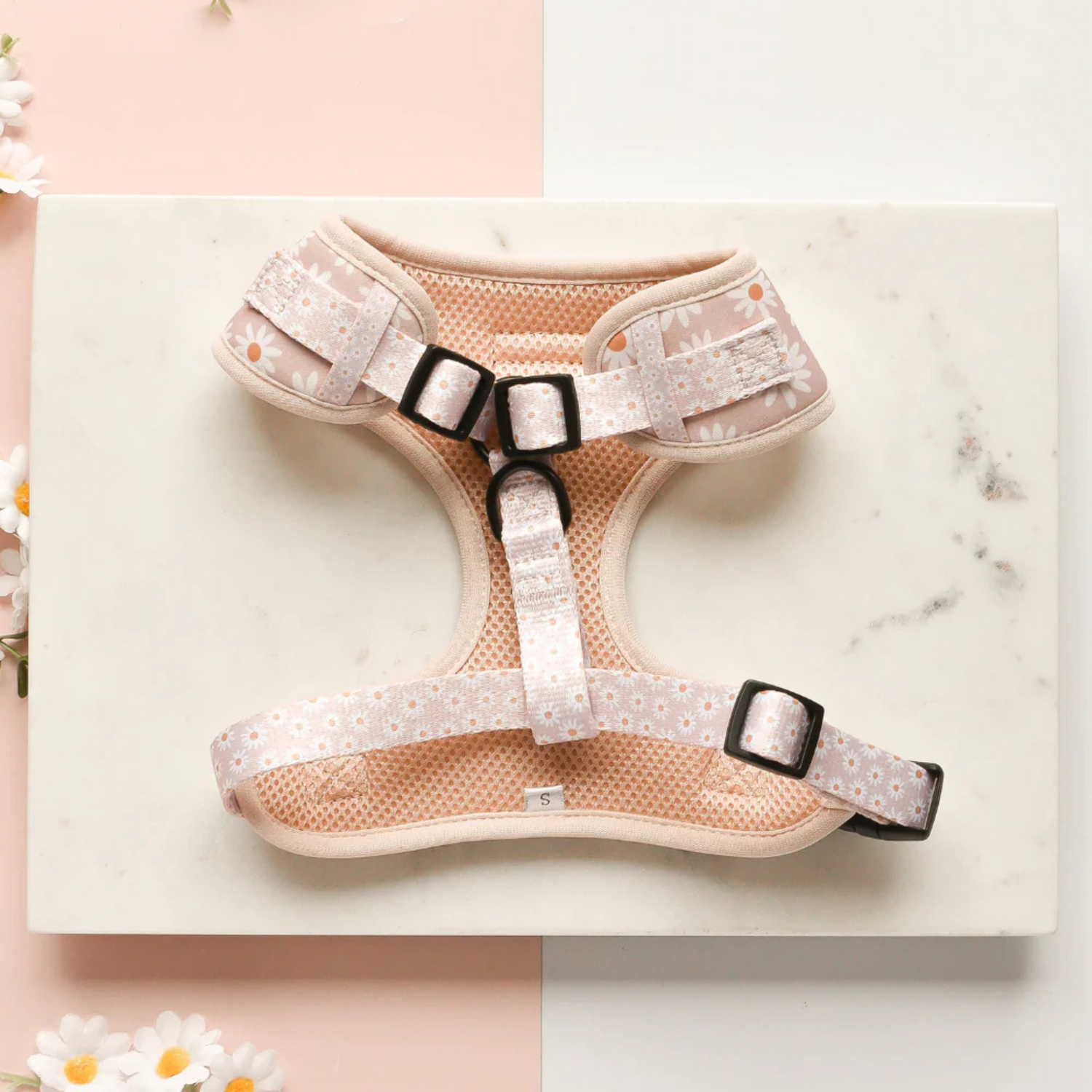 Pet harness with floral design on a marble surface