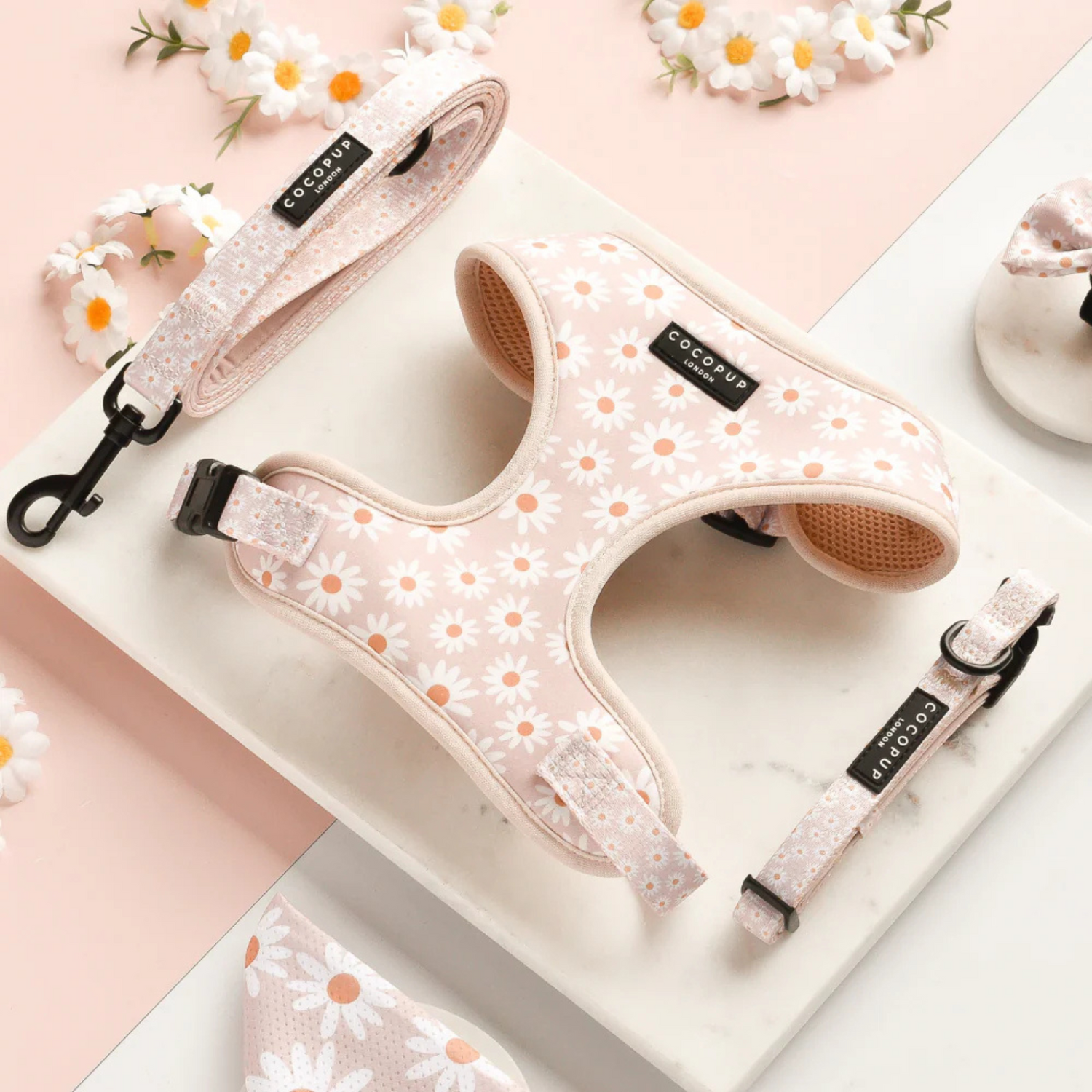 Dog harness and leash set with floral pattern on a light pink surface with flowers.