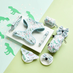 Collection of dog accessories with dinosaur patterns on a green and light blue background