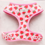 Pink dog harness with strawberry pattern on a light background