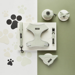 Dog harness and accessories on a split green and white background with paw prints.