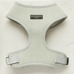 Light green dog harness with 'Cocopup London' label on a white background