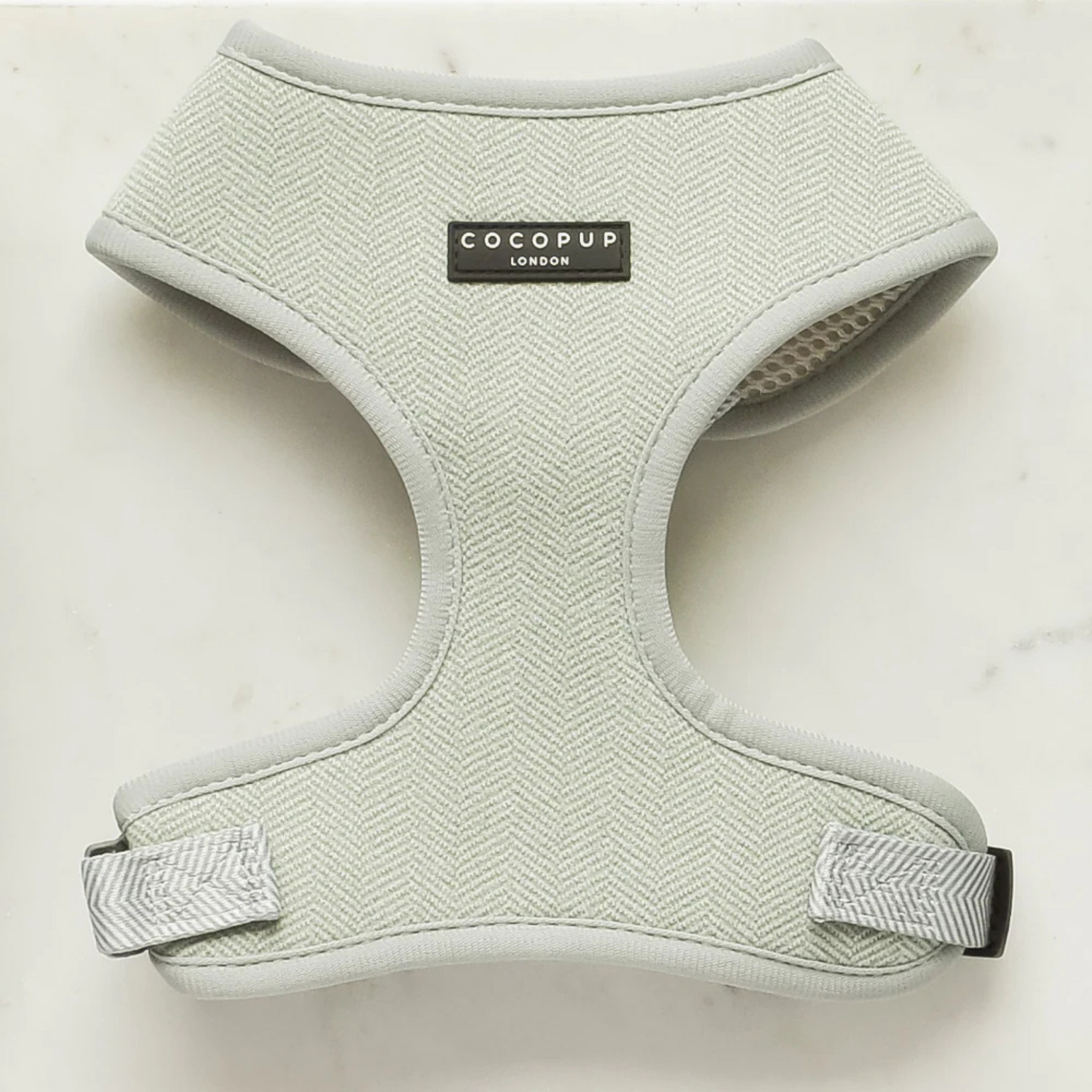 Light green dog harness with 'Cocopup London' label on a white background