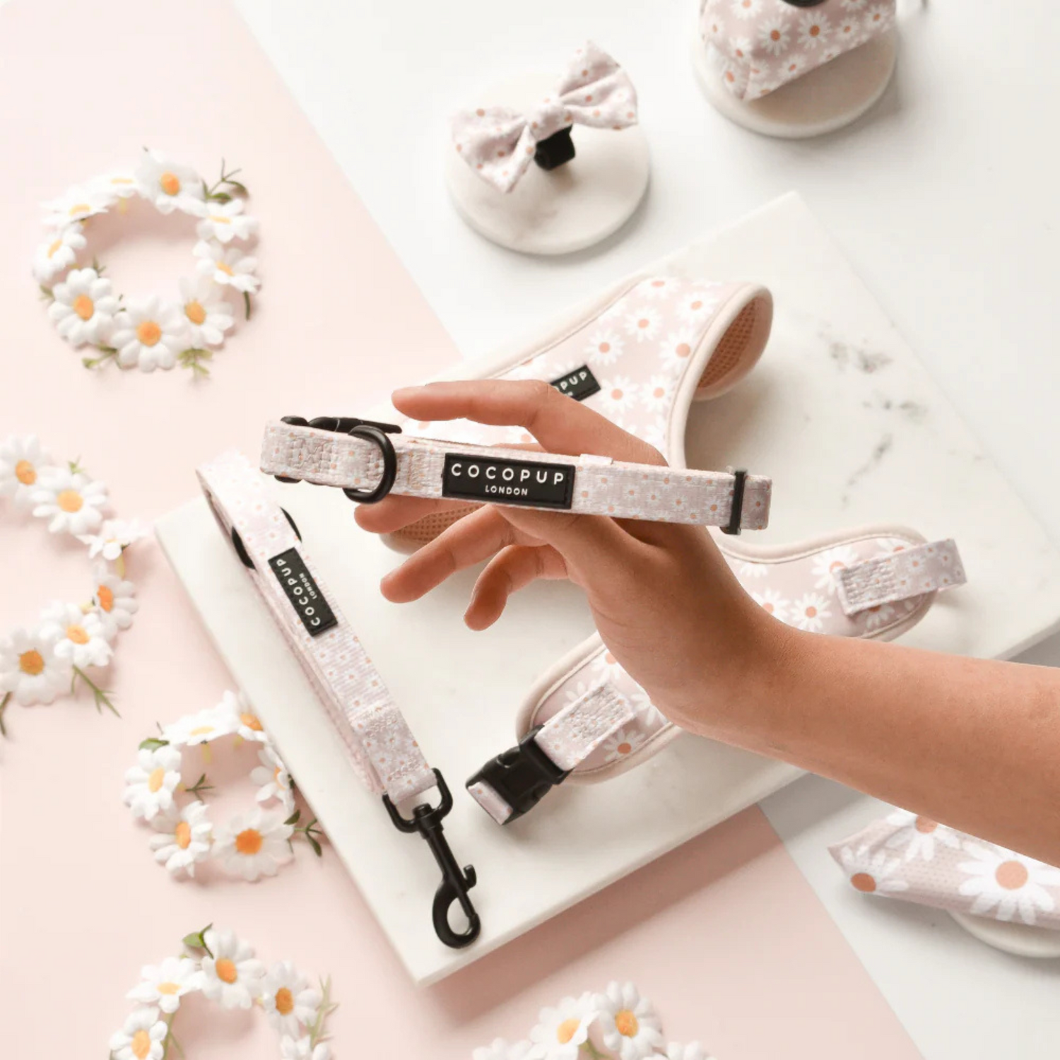 Hand holding a pet collar with floral design on a marble surface with decorative elements.