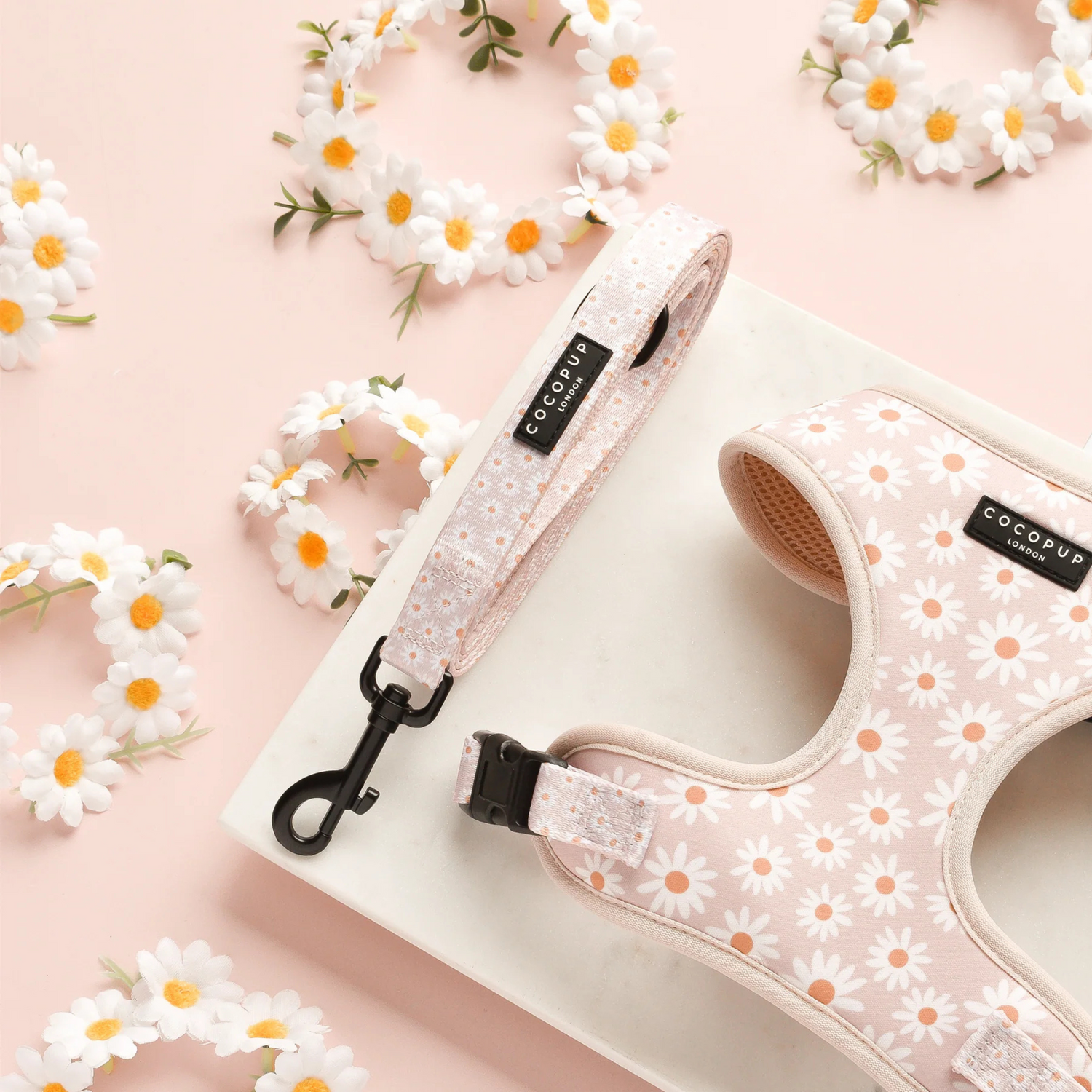 Pet harness and leash set with floral pattern on a pink background with daisies
