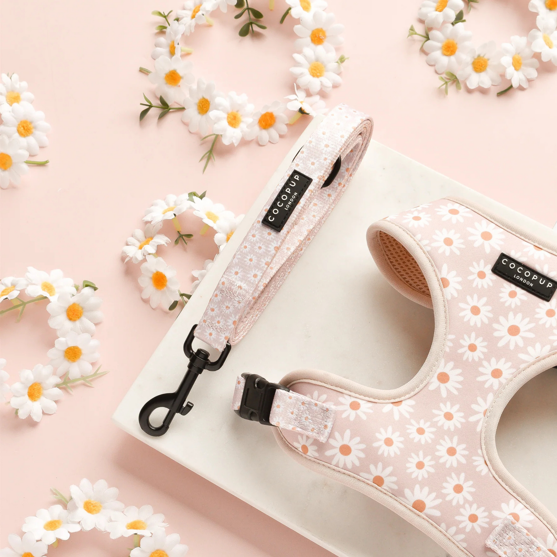 Pet harness and leash set with floral pattern on a pink background with daisies