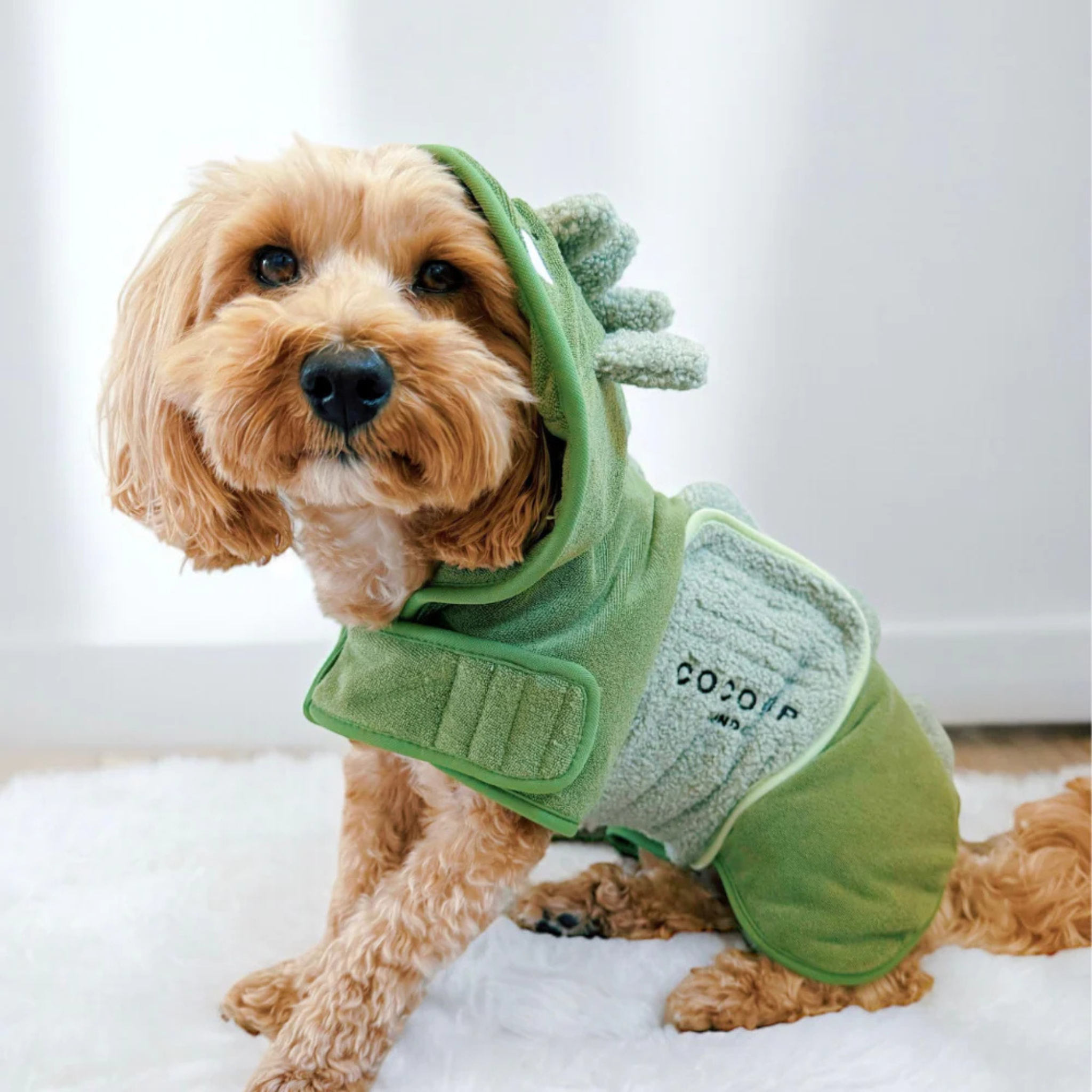 Dog wearing a green dinosaur costume with 'Cocopup' branding on a white background