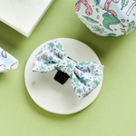 dog bow with dinosaur pattern on a white plate against a green background