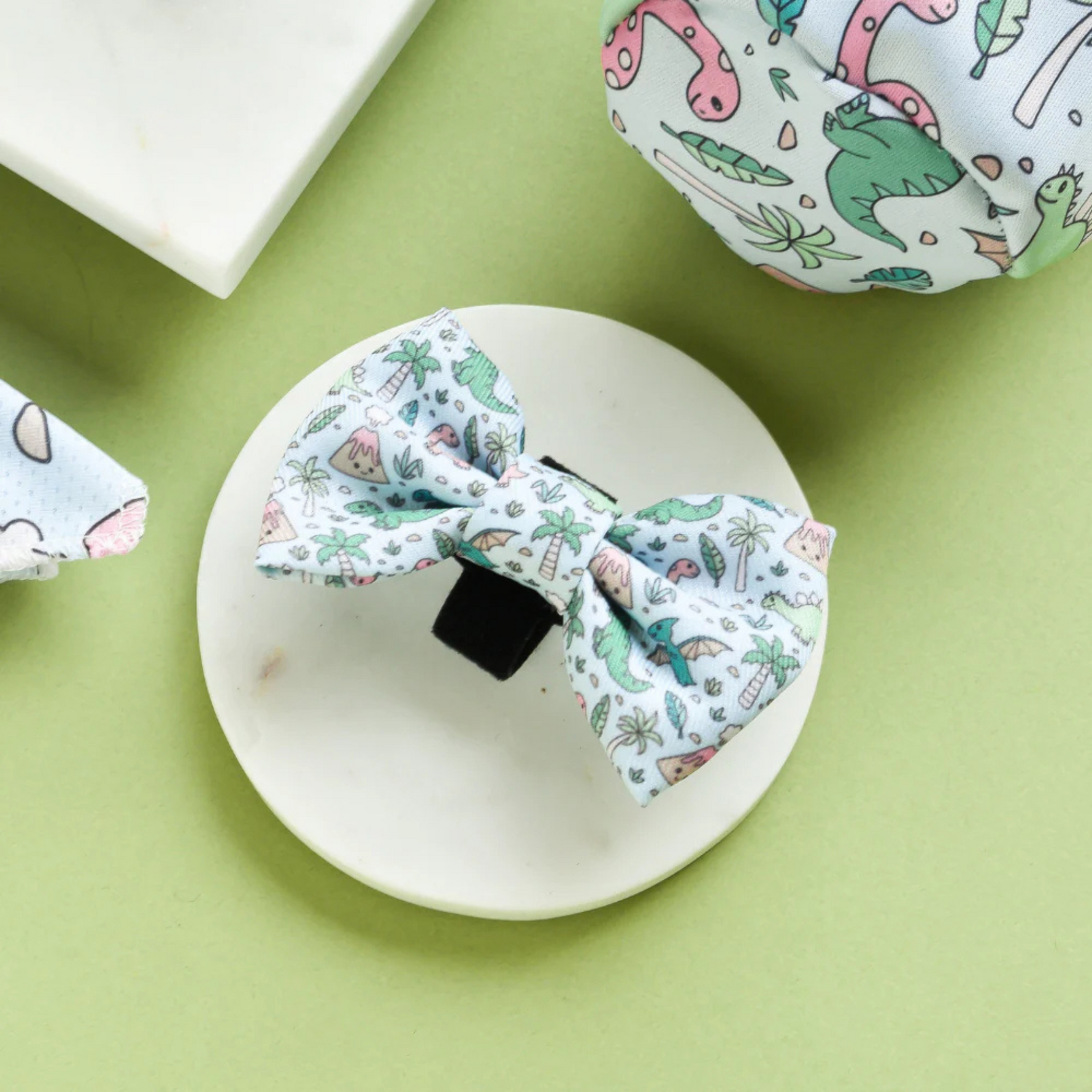 dog bow with dinosaur pattern on a white plate against a green background