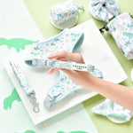 Cocopup pet accessories on a green background