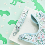 Dog harness and leash set with dinosaur pattern on a light green background