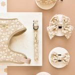 Dog accessories, with floral design on a beige background