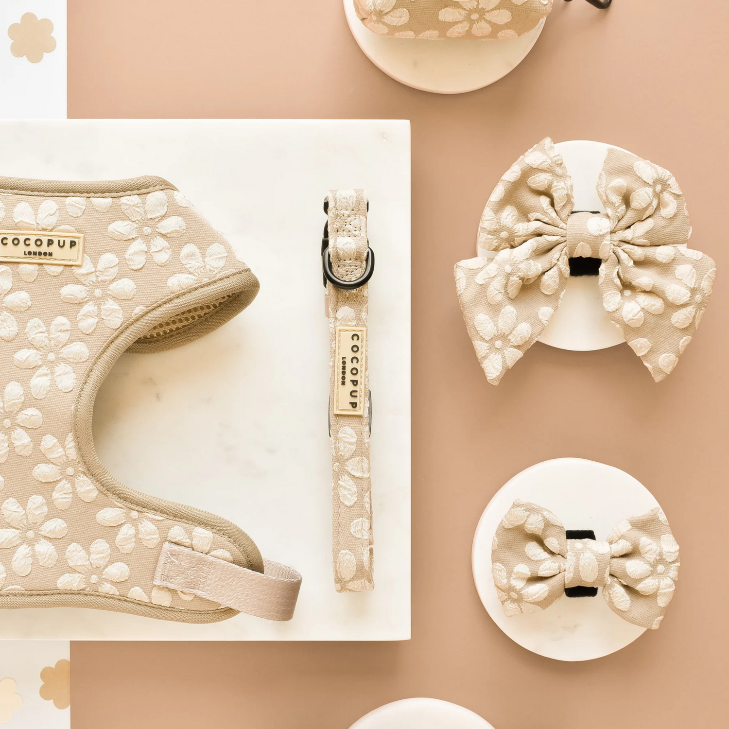 Dog accessories, with floral design on a beige background