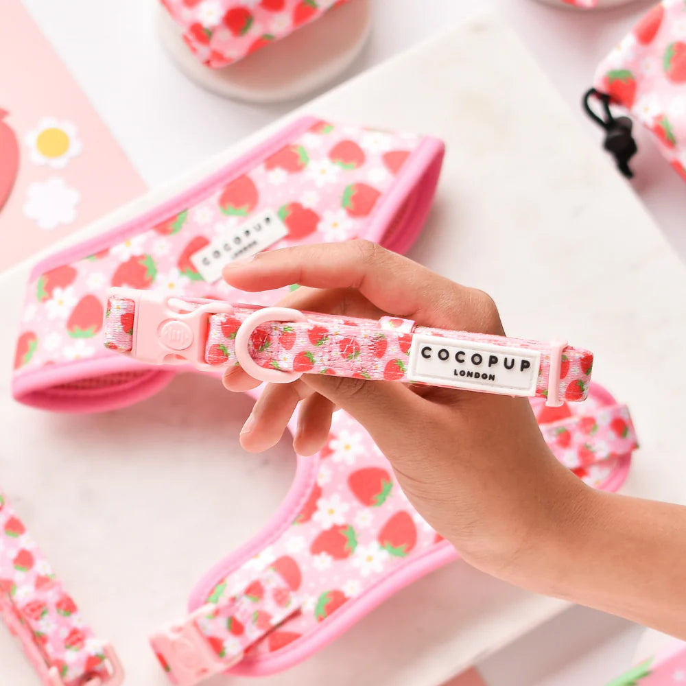 Hand holding a strawberry-patterned dog collar with 'Cocopup London' branding on a light background.