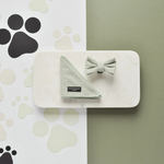 Green pet accessory set on a white tray with paw prints in the background