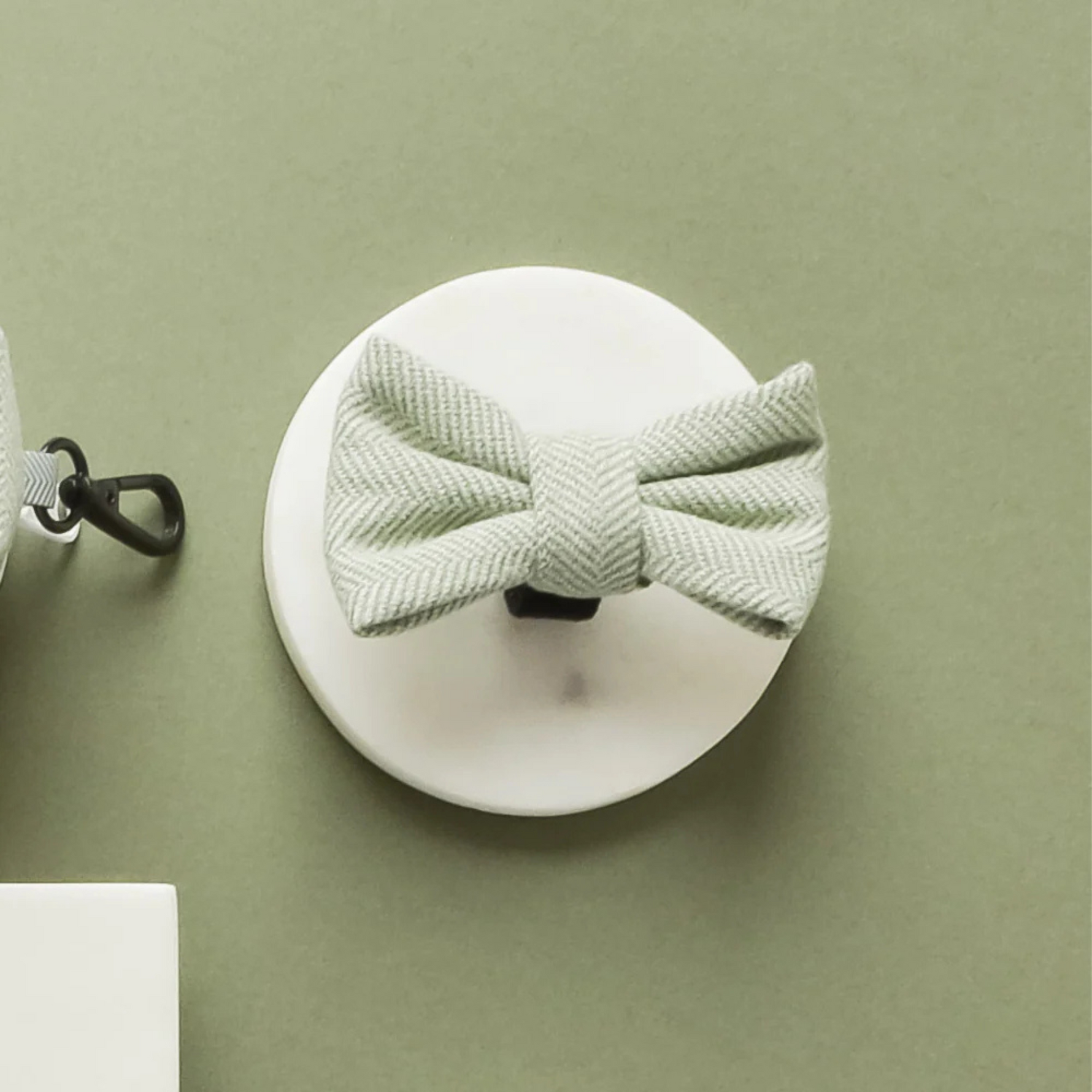 White wall hook with a light green knotted dog bow on a green background