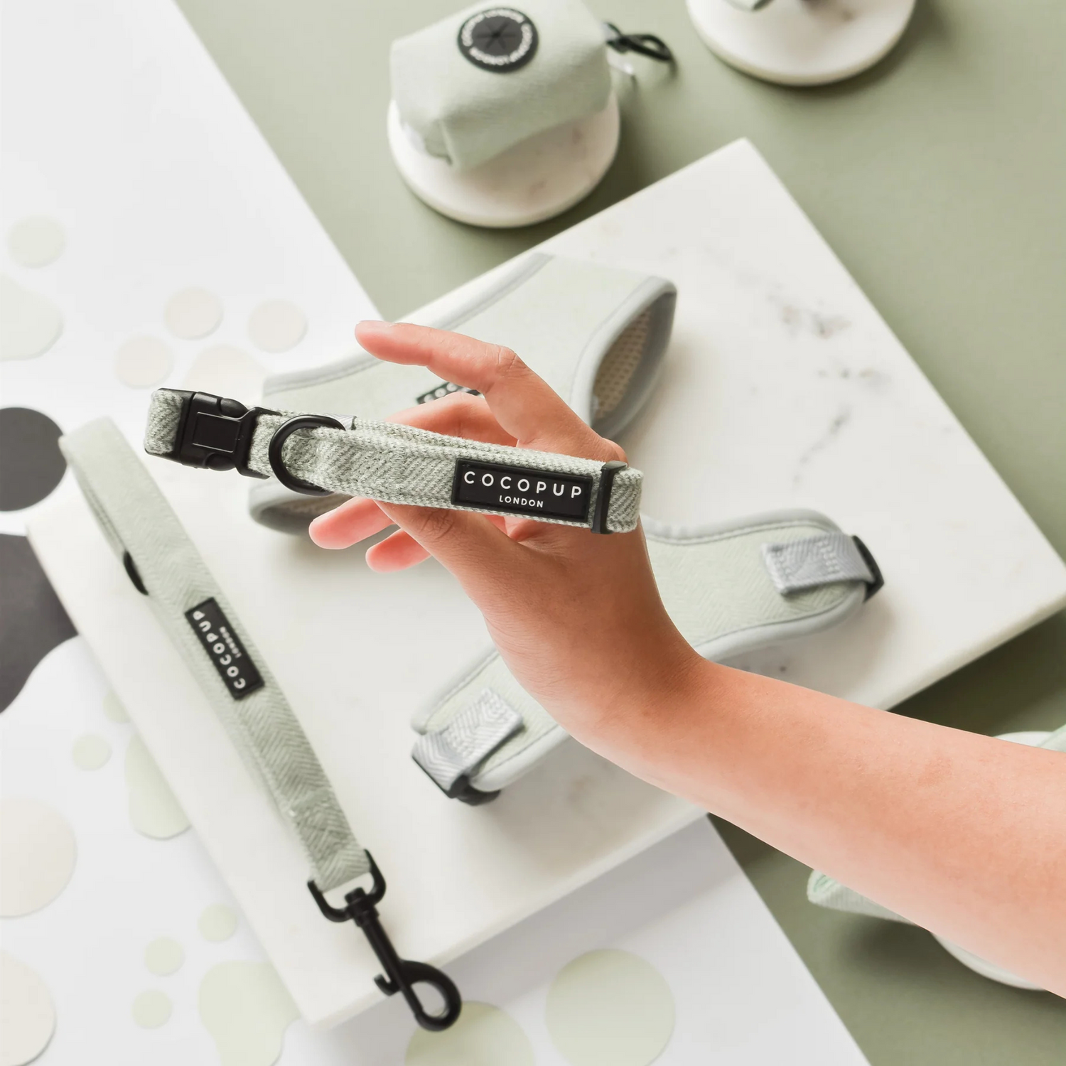 Person holding a green dog collar with 'Cocopup' branding on a light green surface.