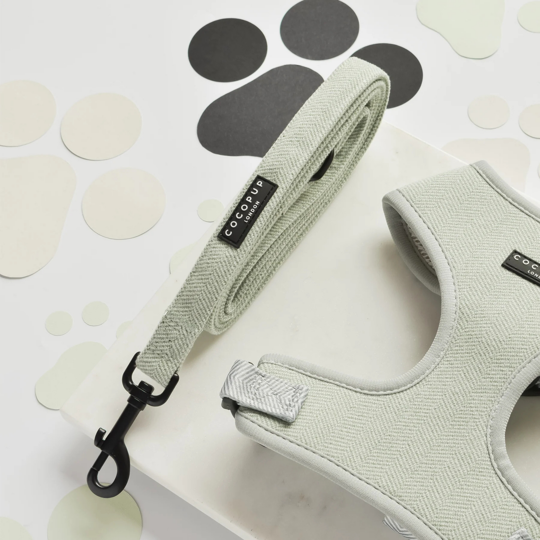 Dog leash and harness set on a light background with paw prints