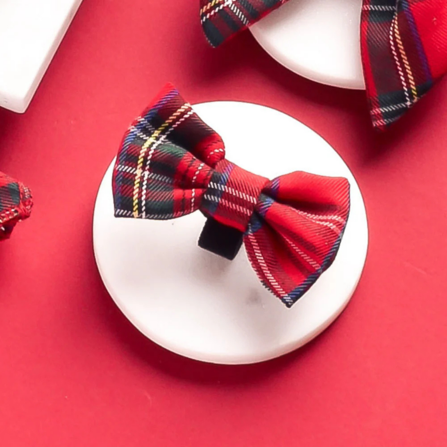 Red plaid dog bow tie on a white plate against a red background