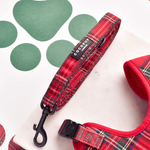 Red plaid dog collar and leash on a white background with green heart shapes.
