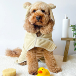 Dog wearing a beige towel with bear ears on a white surface.