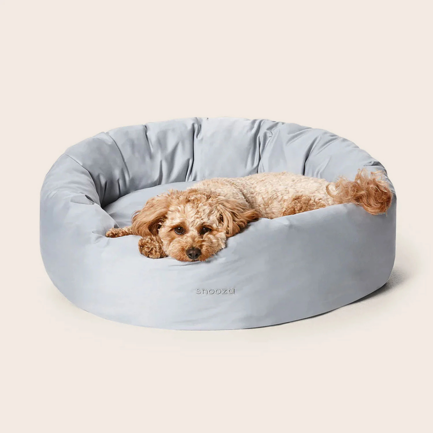 Oodle Dog lying on a gray donut-shaped pet bed with 'shooga' branding.